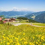 Jandlalm 3* Flachau